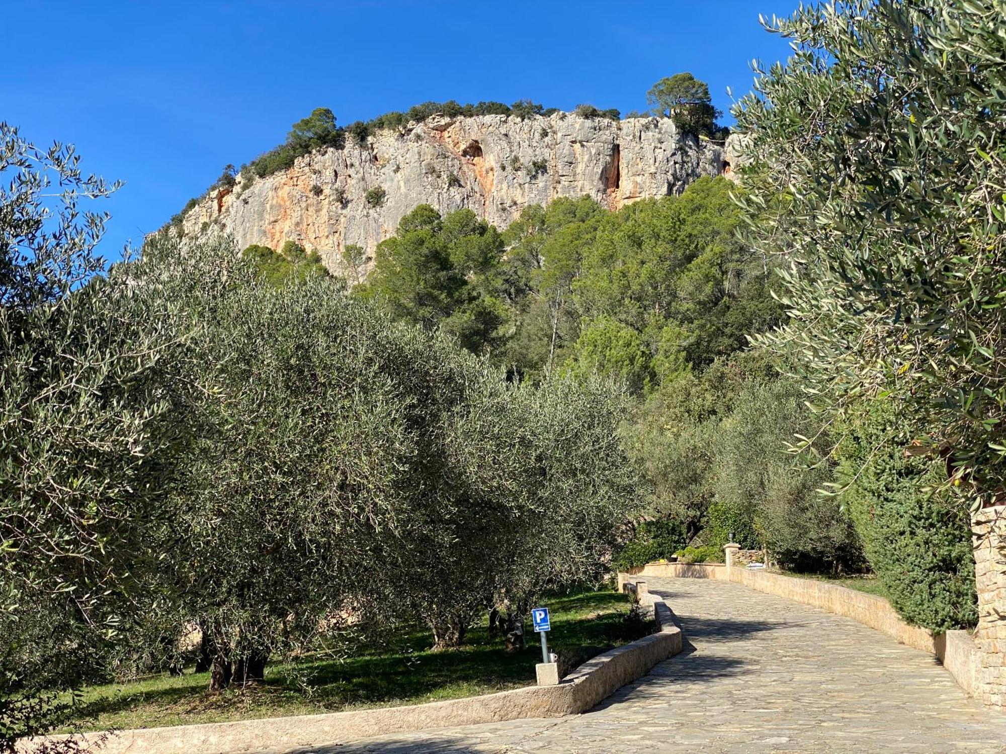 Le Mas De San Lou Cabasse Exterior foto